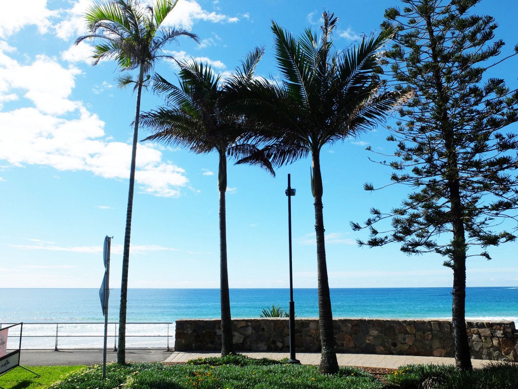 Mooloolaba Palms